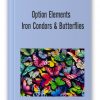 Option Elements - Iron Condors & Butterflies