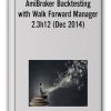 AmiBroker Backtesting with Walk Forward Manager 2.3h12 (Dec 2014)