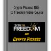 Crypto Picasso Bits to Freedom Video Course