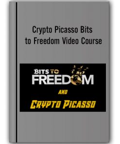 Crypto Picasso Bits to Freedom Video Course