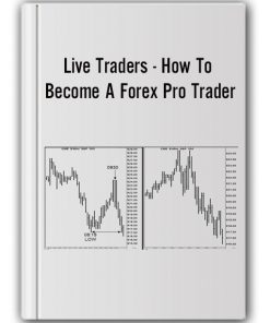 Joe Ross - E-mini S&P 500 eBook