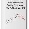 Justine Williams-Lara - Counting Elliott Waves. The Profitunity Way DVD