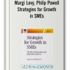 Margi Levy, Philip Powell - Strategies for Growth in SMEs