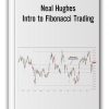 Neal Hughes – Intro to Fibonacci Trading