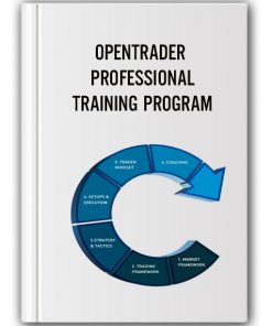 OPENTRADER – PROFESSIONAL TRAINING PROGRAM