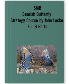 SMB - Bearish Butterfly Strategy Course by John Locke Full 6 Parts