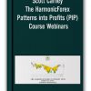 Scott Carney - The HarmonicForex Patterns into Profits (PIP) Course Webinars