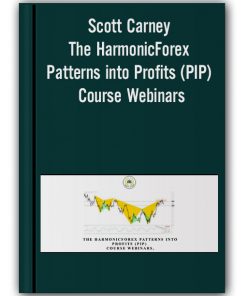 Scott Carney - The HarmonicForex Patterns into Profits (PIP) Course Webinars