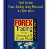 Todd Gordon – Forex Trading Using Fibonacci & Elliott Wave
