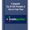 Tradeguider - Top 20 VSA Principles & How to Trade Them