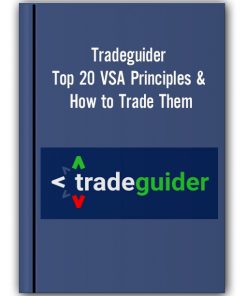 Tradeguider - Top 20 VSA Principles & How to Trade Them