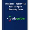 Tradeguider - Wyckoff VSA - Point and Figure Mentorship Course