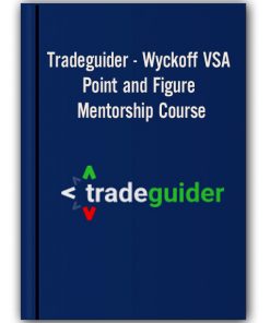 Tradeguider - Wyckoff VSA - Point and Figure Mentorship Course