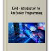 Ewid - Introduction to AmiBroker Programming