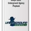 Joseph Davis - Underground Agency Playbook