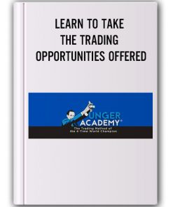 LEARN TO TAKE THE TRADING OPPORTUNITIES OFFERED BY VOLATILITY