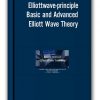 Elliottwave-principle – Basic and Advanced Elliott Wave Theory
