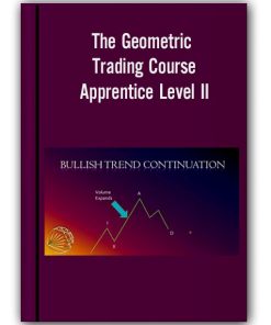Geometrictrading – The Geometric Trading Course – Apprentice Level II