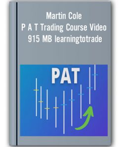 Martin Cole - P A T Trading Course Video 915 MB learningtotrade