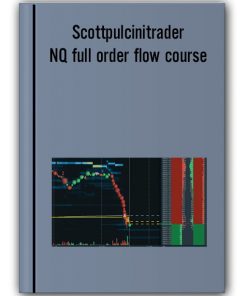 Scottpulcinitrader – NQ full order flow course