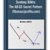 Sundeep Bilkhu - The AB-CD Secret Pattern (fibonacciprofits.com)