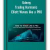 Trading Harmonic Elliott Waves like a PRO