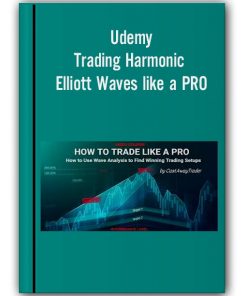 Trading Harmonic Elliott Waves like a PRO