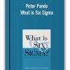 Peter Pande - What is Six Sigma