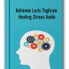 Adrienne Laris Toghraie - Healing Stress Audio