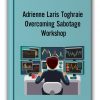 Adrienne Laris Toghraie - Overcoming Sabotage Workshop-min