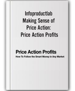 Infoproductlab - Making Sense of Price Action: Price Action Profits