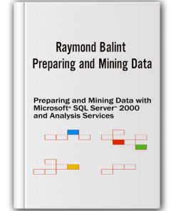 Raymond Balint - Preparing and Mining Data