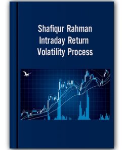 Shafiqur Rahman - Intraday Return Volatility Process