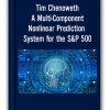 Tim Chenoweth - A Multi-Component Nonlinear Prediction System for the S&P 500