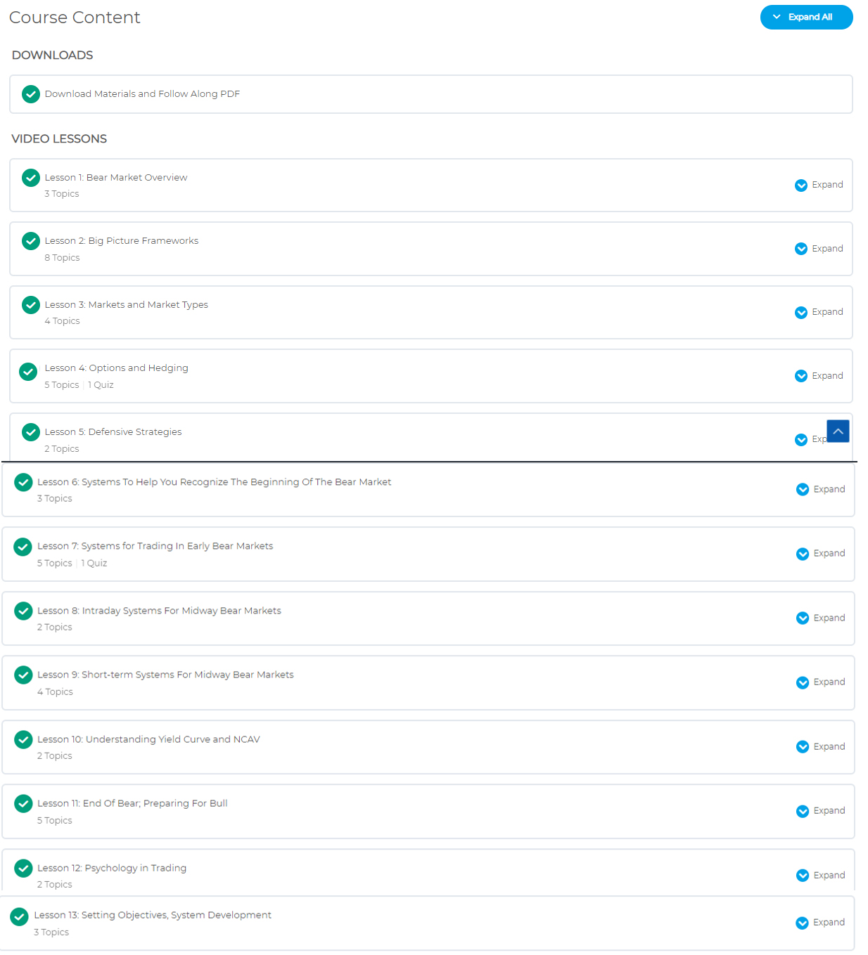 Bear Market Strategies Elearning Course Screenshot