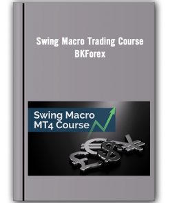 Swing Macro Trading Course – Bkforex Thumbnail