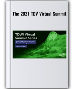 The 2021 Tdv Virtual Summit Thumbnail