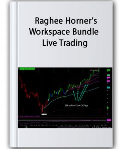 Raghee Horner's Workspace Bundle Live Trading Thumbnails