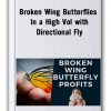 Broken Wing Butterflies In A High Vol With Directional Fly Thumbnails