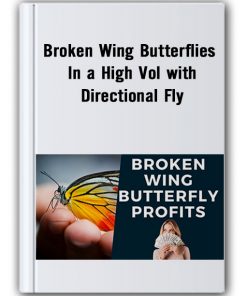 Broken Wing Butterflies In A High Vol With Directional Fly Thumbnails