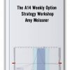 The A14 Weekly Option Strategy Workshop Thumbnails