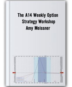 The A14 Weekly Option Strategy Workshop Thumbnails
