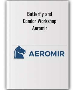 Butterfly and Condor Workshop by Aeromir
