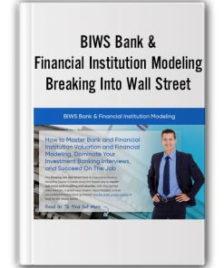 BIWS Bank & Financial Institution Modeling by Break Into Wall Street